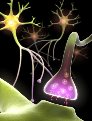 Unsere Nerven beim Abnehmen